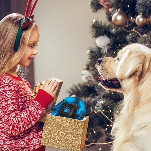 Pamlulu Chew Toys for Medium Large Breed, Tough Dog Toys for Aggressive Chewers, Indestructible Dog Toys to Keep Them Busy, Outdoor Puppy Toys,Birthday thumbnail 7