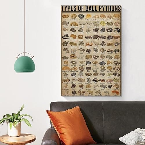 AMZPOSTERLN Vintage Snake Breeds Poster Knowledge Canvas Art Aesthetic And Wall Art Picture Decor Poster12x18inch(30x45cm) thumbnail 4