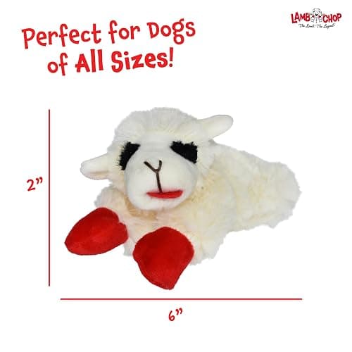 Multipet Lamb Chop Dog Plush Toy - Squeaky Toy for All Dogs - Extra Soft Plush - Stuffed Animal Dog Toy for Cuddling & Playing - Cute Pet Toy (6", Cream) thumbnail 6