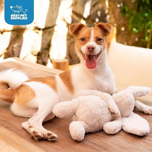 Best Pet Supplies Interactive Squeaky Dog Chew Toy, Ideal Dog Toys for Chewers, Small, Medium & Large Dogs, and Fetch Lovers - Bunny (Beige), Large thumbnail 6
