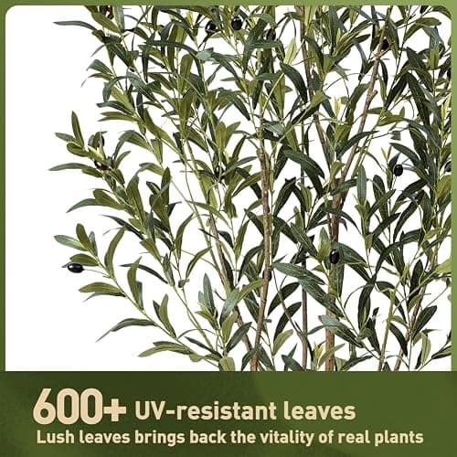 VeriNatural Artificial Olive Tree 5ft, Tall Faux Olive Tree with White Planter, UV-Resistant Fake Plants for Indoor and Outdoor Decor, Realistic Potted Plants for Home,Office & Living Room Decor VN158 thumbnail 6