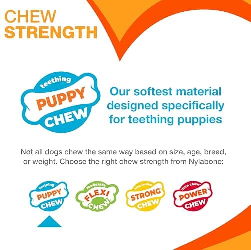 Nylabone Puppy Pacifier Chew Toy, Teething Toys for Puppies, Bacon Flavor, Small - Up to 25 lbs, 1 Count thumbnail 4