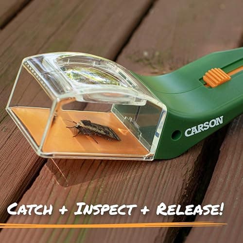 Portable Magnifying Glass Insect Trap thumbnail 7