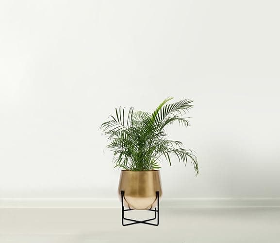 Olly & Rose XL Gold Plant Stand with Plant Pot 28cm 11 Inch - Metal Plant Pots Indoor Planter Large Flower Pot… thumbnail 2