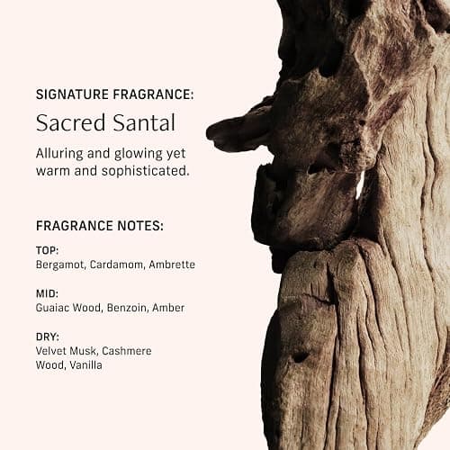 CYKLAR Perfume Oil Roll-on. Travel-Friendly Sacred Santal Fragrance with Bergamot, Amber, and Musk Notes. Long-Lasting Essential Oil Parfum for Women and Men. 0.5 Fl Oz Scented Rollerball Bottle thumbnail 4