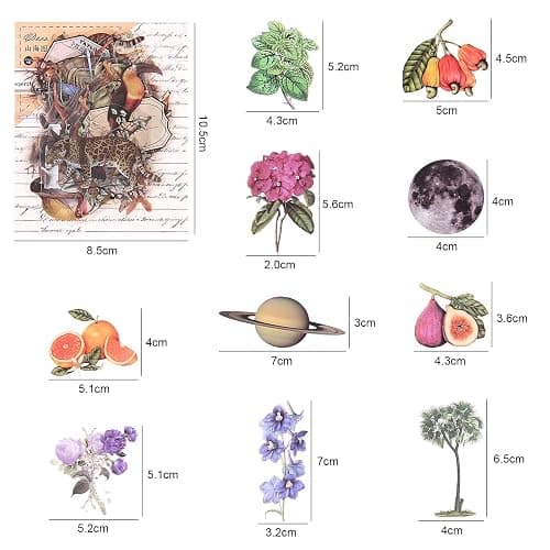 NOGAMOGA Nature Themed Transparent Pre-Cut Stickers for Scrapbooking, Pack of 240, Flora and Fauna Vintage Aesthetic Decorative Decals for Journaling Photo Album Collage Card Making Crafts thumbnail 2