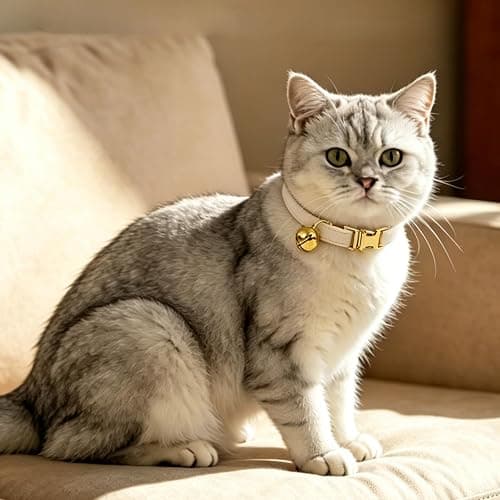 Personalized Cat Collar with Bells,Velvet Customized Small Cat Collar with Name Tag,Pet Collar with Name Phone Number Engraved ID Tags for Boy and Girl Kitten Cats (Cream) thumbnail 2