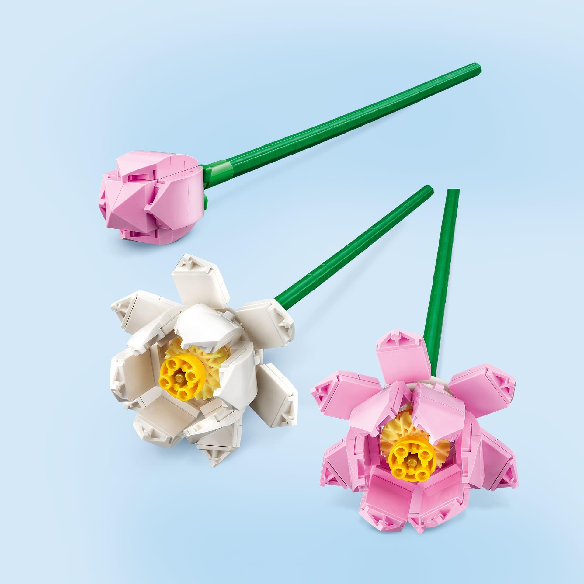 LEGO® Botanicals Flores de Loto; Plantas Ornamentales para Decorar Tus Lugares Favoritos; Estas Plantas Artificiales Pueden ser un Bonito y Colorido arreglo Floral para el hogar o la Oficina 40647 thumbnail 4