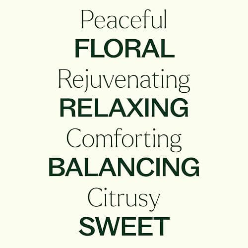 Plant Therapy Neroli Essential Oil 2.5 mL (1/12 oz) 100% Pure, Undiluted, for Aromatherapy, Skin Care, and Emotional Balance thumbnail 4