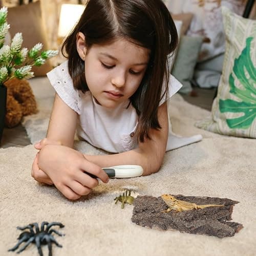 4pcs Reptile Bark Decor Wood,Natural Cork Bark, Bark Cork Hides Water Bark Flats Decor,Reptile Bark Cork Wood Bark Terrarium for Bearded Dragon Lizard Geckos Tortoise Random Shape Random Size Deliver thumbnail 4