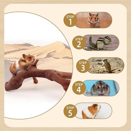 kathson 2PCS Wood Hamster Climbing Branches Decor, Natural Wooden Syrian Hamster Climb Chewing Toys, Rat Exercise Toys, Small Animal Habitat Decor Accessories for Dwarf Pets, Gerbils, Mice (7.8IN) thumbnail 8