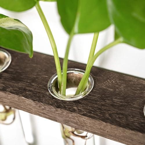 Mkono Plant Propagation Tubes, 3 Tiered Wall Hanging Terrarium with Wooden Stand Mini Test Tube Flower Vase Glass Planter Stations for Hydroponic Cutting Home Garden Office Decor Plant Lover Gift thumbnail 7