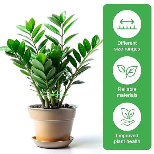 Qianyu 20pcs Climbing Cage Houseplant Stem Supports Plant Climbers Holders Reusable Plastic Flower Stakes Trellis Stem Hook Growth Accessories for Garden Thriving Growth (4 Sizes) thumbnail 4