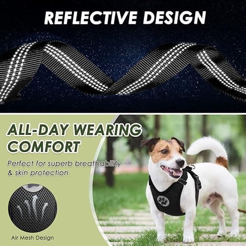 SlowTon Dog Seat Belt Harness for Car, Dog Car Harness Adjustable Mesh Breathable & Dog Seatbelt Safety Tether with Elastic Bungee for Small Medium Large Pets(Black, Double Clip, M) thumbnail 9