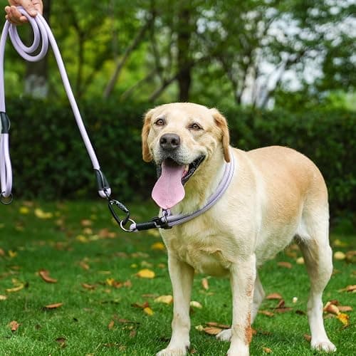 MORXIL Rope Dog Leash, 6 Foot Heavy Duty Dog Leash with Aviation Aluminum Auto Locking Carabiner, Strong Nylon Pet Lead for Small, Medium, Large Dogs (Blue, 6FT) thumbnail 6
