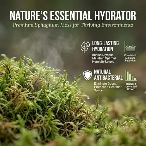 Sukh Sphagnum Moss for Reptiles & Plants - Terrarium Moss Substrate, 5oz | Habitat Bedding for Gecko, Snake, Turtle, Frog, Bearded Dragon, Jumping Spider, Chameleon, Enclosure & Tank Accessories Decor thumbnail 7