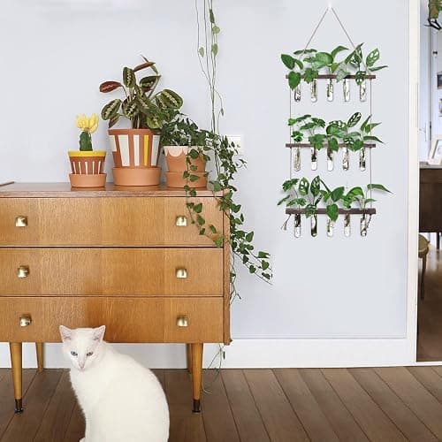 XXXFLOWER Wall Hanging Propagation Station with Wooden Stand 5 Glass Test Tubes 3 Tiered Planters Wall Terrarium for Home Office Plant Hanger Flower Vases Wall Decor Hydroponic Cuttings thumbnail 2