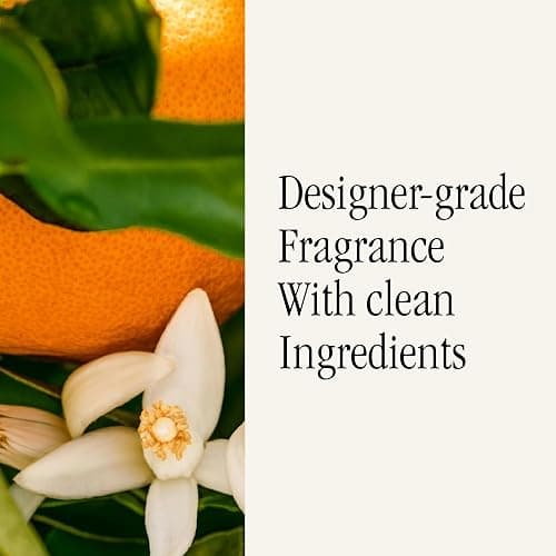 Pura & dae Fragrance Refill - Smart Home Air Diffuser - Up to 120-Hours of Luxury Fragrance per Refill - Spring & Summer - 2 Pack, Signature Citrus thumbnail 4