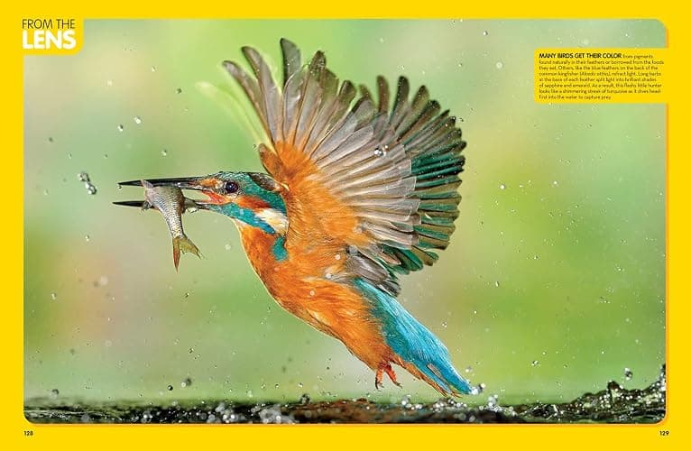 National Geographic Kids Animal Encyclopedia, 2nd Edition: 2,500 Animals with Photos, Maps, and More! (NGK Encyclopedias) thumbnail 5