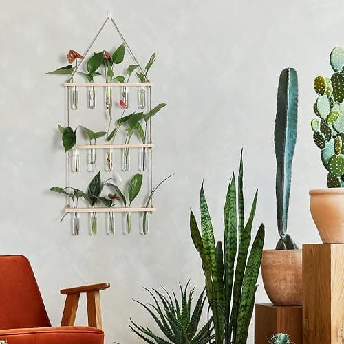 YIBOT Propagation Stations,3 Tiered of Propagation Tubes with Wooden Stand,Mini Glass Test Tubes Vase,Plant Terrarium for Hydroponic Home Garden Office Decor, Gardening Gift for Women Plant Lover thumbnail 7