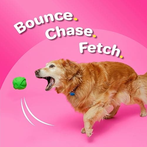 Hartz DuraPlay Ball Squeaky Latex Dog Toy, Neon Green, Neon Pink & Neon Orange, Large 3 Count Pack thumbnail 4