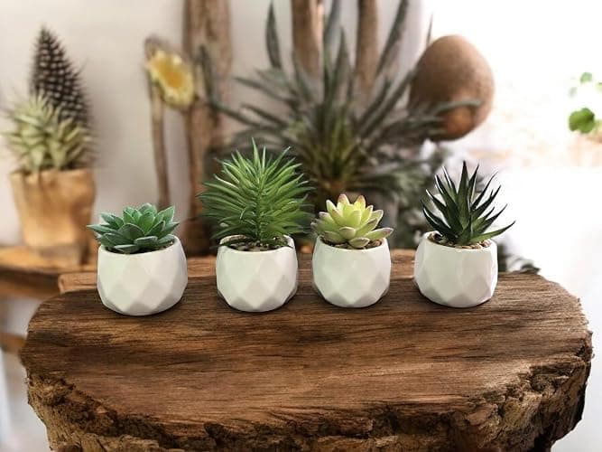 GRIFTO Fake Plants Set of 4 Artificial Plants Indoor Mini Ceramic Pot Faux Succulent Plant Foliage for Coffee Table Home Bedroom Bathroom Room Decor Shelf Office Desk Kitchen Garden Indoor Outdoor thumbnail 2