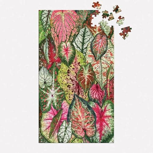 Galison Houseplant Jungle Multi Puzzle Set from Galison - Includes Three 250 Piece Puzzles Featuring Botanical Photographs from Troy Litten, Thick and Sturdy Pieces, Fun and Challenging Activity thumbnail 4