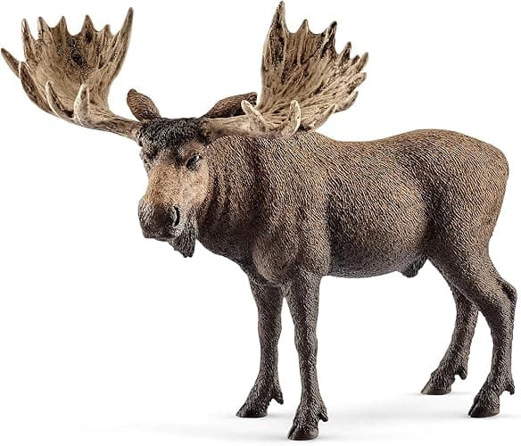 Schleich Wild Life - 5PC North American Animal Figurine Bundle - Realistic Moose, Wolf, Fox, Alligator, and Grizzly Bear Figures - Educational Toys for Kids for Screen-Free Play - 3+ | 77417 | Wild Animal Figurine, Realistic Animal Toys, Safari Toy for Boys and Girls, Screen-Free Imaginative Pretend Play, Montessori thumbnail 6