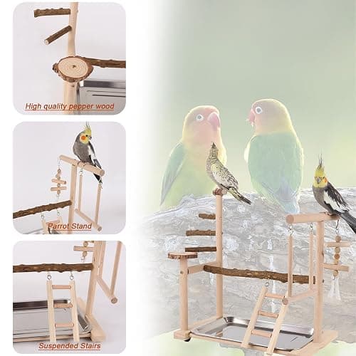 RoseFlower Wooden Bird Playground, Parrot Playstand with Perches, Ladder, Swing, Feeder Cups, Tray for Conure, Parakeets, Budgie, Cockatiels, Lovebirds, #4 thumbnail 7