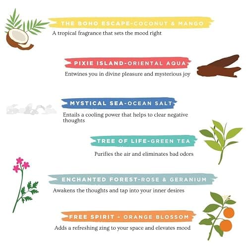 Folkulture Incense Sticks | Set of 6 (120 Insence-Sticks) | 45 Mins Burn Time | Non Toxic Coconut Mango, Aqua, Green Tea, Rose Geranium, Orange Blossom Inscents-Sticks for Women thumbnail 7