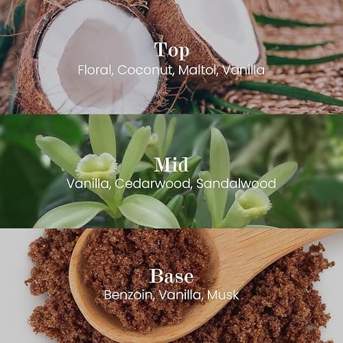 M&SENSE Natural Soy Candle| Vanilla Sandalwood | 8.82 oz, 50H Burn | Minimalist Christmas Scented Candle for Relaxation, Gifting, Home Décor | for Bedroom, Office, Party Medium thumbnail 2