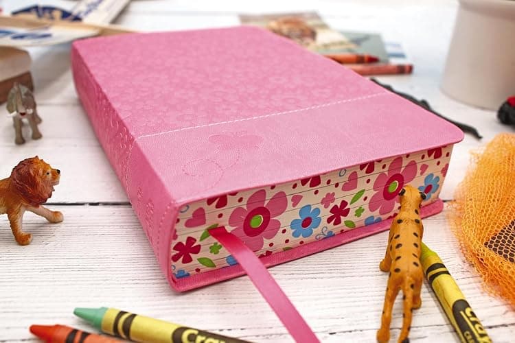 NIrV, Adventure Bible for Early Readers, Leathersoft, Pink, Full Color thumbnail 4