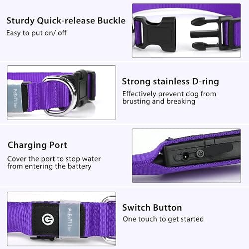 PcEoTllar Light Up Dog Collars, LED Dog Collar Rechargeable Purple Lighted Dog Collar Waterproof Dog Lights for Night Walking RGB Colorful Flashing Dog Collar for Small Medium Large Dogs-Purple-M thumbnail 3
