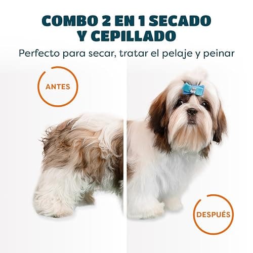 Secador de Pelo para Mascotas | Secador de Pelo Portátil y Silencioso 2 en 1 con un Cepillo Práctico | Temperatura Ajustable | para Perros y Gatos Pequeños y Medianos thumbnail 5
