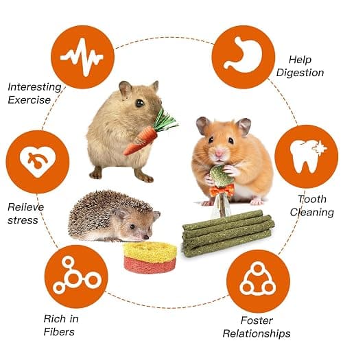 Jorewood 21 Pcs Rabbit Chew Toys for Teeth, Natural Bunny Toys Peach Wood Grass Timothy Sticks Chew and Treat for Guinea Pigs Hamster Chinchillas and Other Small Pets thumbnail 7