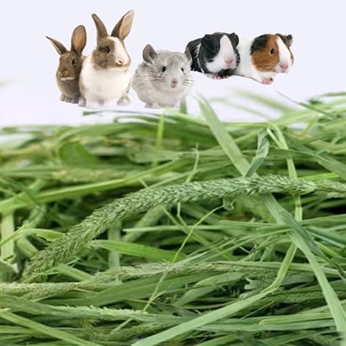Ohcool Timothy Hay Premium Hay for Rabbits Guinea Pig Chinchilla- Natural Fresh Hay Hand Selected 6.6LBS (1.1lbs, 6 Pack) thumbnail 5