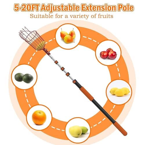 SISIUPASSIE 26FT Reach Fruit Picker, Apple Picker Pole with Basket Telescoping Tool for Apple Lemon Orange Mango Avocado Fruit Tree Picking thumbnail 2