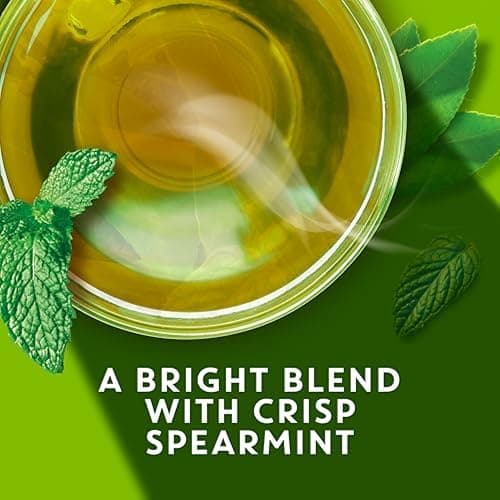 TAZO Organic Zen Green Tea Bags, Caffeine Free Tea with Refreshing Lemongrass & Spearmint, 144 Total Tea Bags (36ct - Pack of 4) thumbnail 6