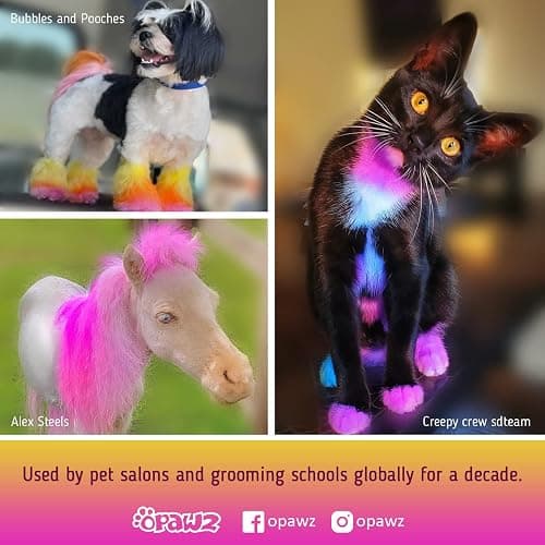 Doggie hair dye  thumbnail 7