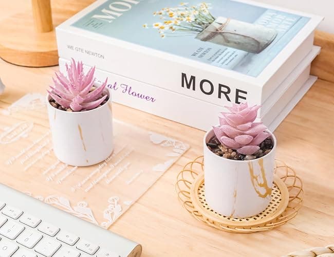 Der Rose Set of 2 Succulents Plants Artificial Mini Fake Succulents Plants for Office Desk Accessories for Women Pink Home Vanity Decor thumbnail 2