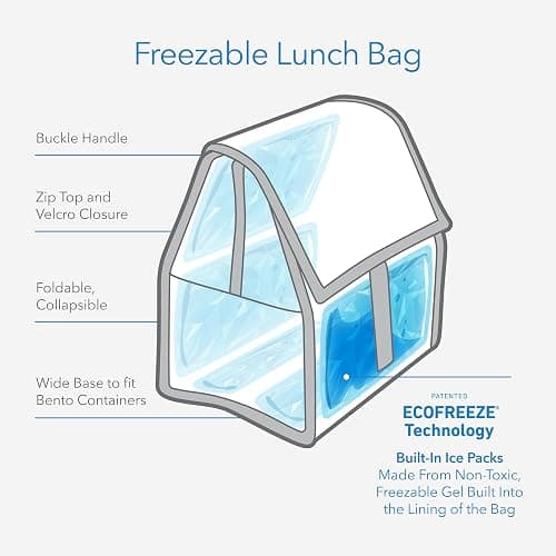 PackIt Freezable Lunch Bag, Black, Built with EcoFreeze Technology, Foldable, Reusable, Zip and Fold Closure with Buckle Handle, Perfect for School and Office Lunches thumbnail 5