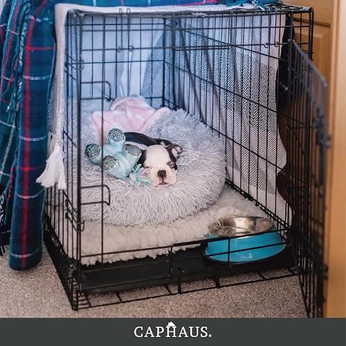 CAPHAUS Foldable Dog Crate Wire Metal Dog Kennel w/Leak-Proof Pan & Protecting Feet & Divider Panel, Single or Double Door, Small, Medium & Large Indoor Wire Cage, 24” w/Single Door thumbnail 9