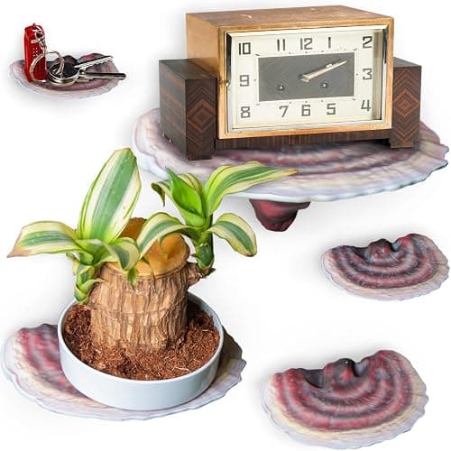 Wiosi 5-Piece Turkey Tail Reishi Mushroom Floating Shelves for Decorating Wall | Shelves for Room Wall | Perfect Floating Shelves for Room Decor | Leopard Gecko Tank Accessories - Image 1