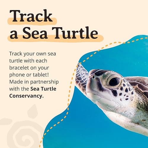 Fahlo Sea Turtle Tracking Bracelet – Track a Real Sea Turtle's Journey – Supports Wildlife Conservation – Elastic – on Interactive Mobile App Map – Unisex Ocean Conservation Gift thumbnail 6
