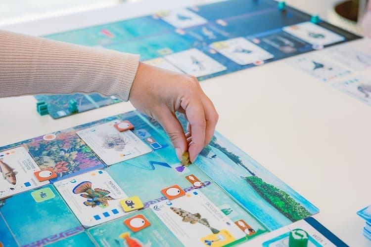 Finspan board game thumbnail 8