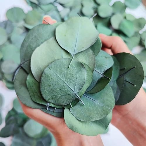 300+ Pcs Dried Real Eucalyptus Leaves, Rustic Boho Wedding Table Decor, 100% Natural Preserved Silver Dollar Eucalyptus Decor Green Leaves, Biodegradable Confetti for Weeding, DIY, Baby Shower, Cake1 - Image 1