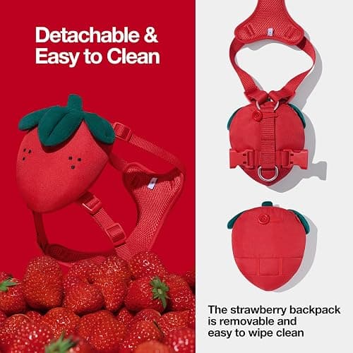 VETRESKA Strawberry Dog Harness and Leash Set, No Pull Dog Vest Harness for Small Dogs Cats, Walking and Training, Adjustable, Easy Control and Soft Padded Pet Harness and Backpack (XS) thumbnail 5
