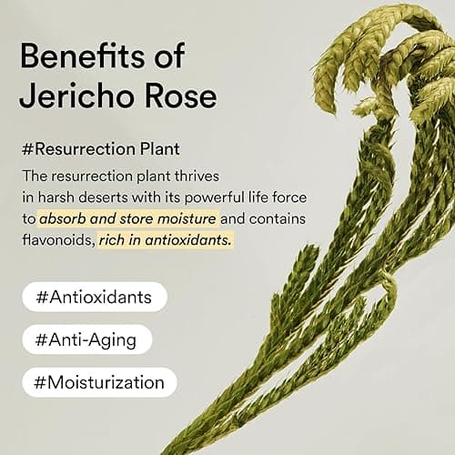 Abib Collagen Eye Patch Jericho Rose Jelly 60 Patches, Korean Under Eye Patches for Puffy Eyes and Dark Circles, Anti-Wrinkle, Collagen, Caffeine, Niacinamide, Ceramide, Antioxidant, Skin Care thumbnail 5
