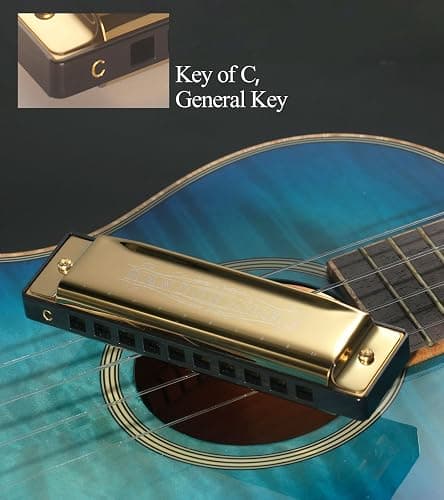 Randon Golden Harmonica Key of C with Case, 10 Holes 20 Tones Diatonic Harmonicas Mouth Organ, Blues Harmonica for Adults/Kids/Professional Players/Beginners, Vintage Style Harmonica, as a Gift thumbnail 3
