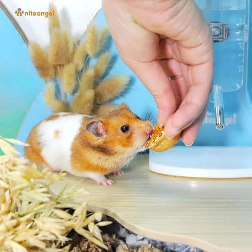 Niteangel Hamster Snack & Treats Toy - Small Animal Natural Treat Mix for Dwarf Syrian Robo Hamsters Gerbils Mice Lemmings Degus or Other Small-Sized Pets (Walnut-Shell Boat) - Image 1